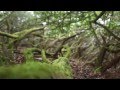 Tenerife Timelapse