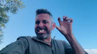 Update (Day 912) Swords of Iron/Lion’s Roar “Pilot Rescued”