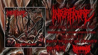 Interficere  Shred of Lives Insulted | Brutal Death Metal | Human Revolution Absurd | Slamming