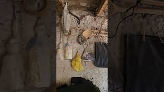 Doğar Yaz Ayları Çekiç Ali Resimi