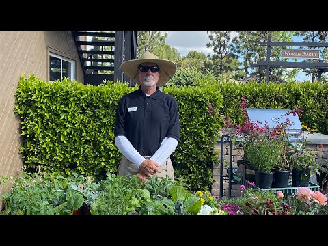 Video: Kontrolný zoznam pre regionálnu záhradu – Májové záhradnícke úlohy pre Západ