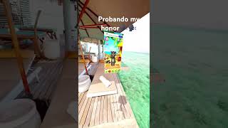Provando My Honor