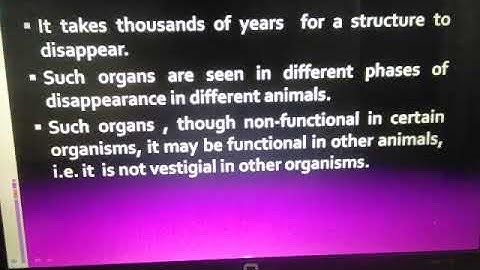 Vestigial organs as evidence of evolution