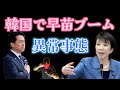 韓国で緊急事態が!早苗ブーム到来で若者が日本の総理の押し活!信じられない半日なんてもう言わない!小泉進次郎が奇跡を起こし始めたぞ!