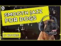 Smooth Jazz Music For Dogs - Relaxing Dog Music To Calm Anxiety