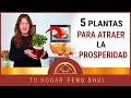 ✔ 5 PLANTAS para atraer 💰 DINERO 💰 al hogar según el FENG SHUI 🔥