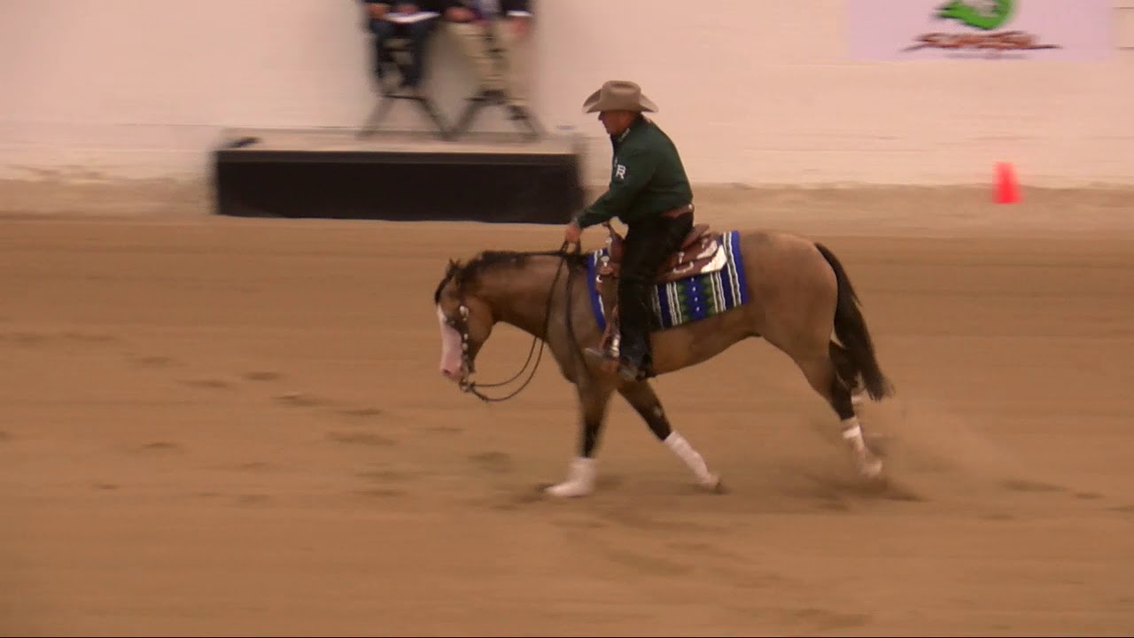 spooks gotta spark  Shawn Flarida