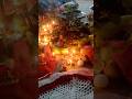 # jutiya vart special festival song #bhaktibhajan # maa ka pyar#de dehlu godiya me pyr ki nishani#