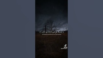 وَيَجْعَلُونَ لِلَّهِ الْبَنَاتِ سُبْحَانَهُ ۙ وَلَهُم مَّا يَشْتَهُونَ سورة النحل عبد الرحمن مسعد