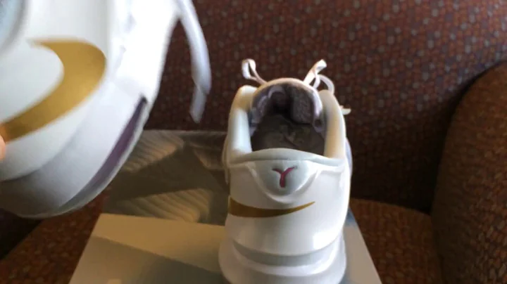 KD VII (KD7) AUNT PEARL REVIEW + ON FEET