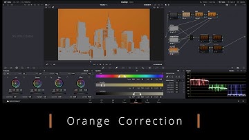 Lumix GH5 and Leica DG 100-400 Davinci Resolve Studio 17 Color Grading