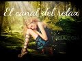 🎧MUSICA RELAJANTE CELTA CON ARPA 8, CELTIC MUSIC WITH HARP 8. 🎧