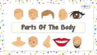 Parts Of The Body  in English with Pictures and Test 01 || English Vocabulary || Beginner Level