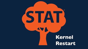 Restarting the Kernel in R