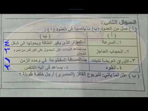 اختبار نصف العام 2023 2024 علوم رابعة ب ادارة غرب المنصورة التعليمية محافظة الدقهلية