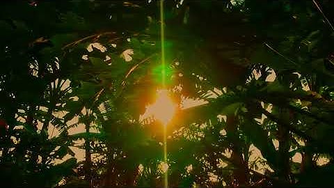Background Cinematic Alam | Video Cinematic Alam No Copyright | Cinematic Video Sunrise