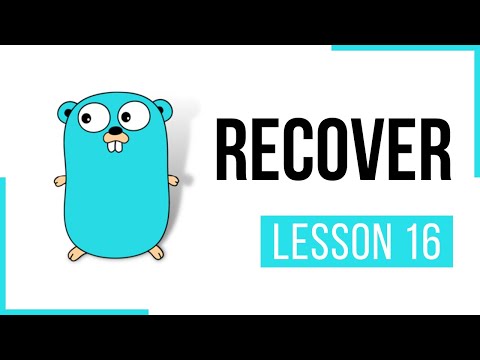 Recover function - Lesson 16 | Go | Full Course | CloudNative | Go Tutorial | Golang