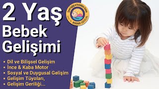 2 Yaş Bebek Gelişimi (Km Taşları, Beklentiler, Gelişim Geriliği, Tüyolar...)