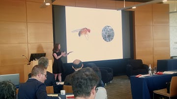 Conference on Making Behavior Change Stick 2019: Results from BCFG’s First Mega Experiments