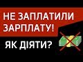 Обман в Польщі! Що робити, якщо не заплатили зарплату в Польщі