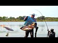 King Size Rohu Fishes Catching  || Amazing Fishing Video || Singel Hook Fishing