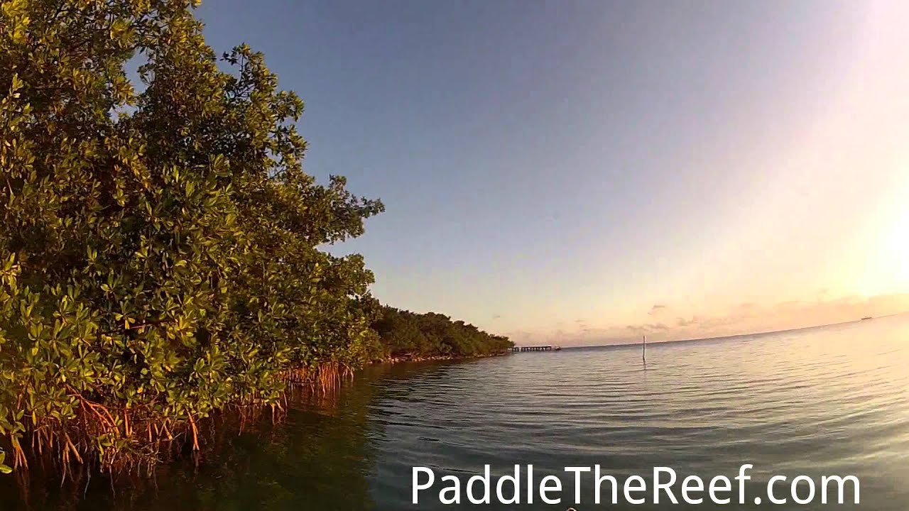 Kayaking Indian Key at Sunset in The Florida Keys YouTube