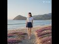 エリカの花:挿入曲「西田佐知子:エリカの花散る時」(画像はGeminiで生成)