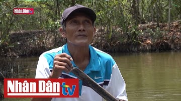 Đồng bằng sông Cửu Long thích ứng với biến đổi khí hậu | Nông nghiệp chuyển động