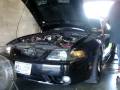 punisher on the dyno