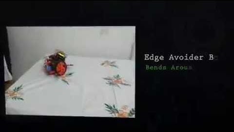 A glimpse of autonomous robots in function by robotics team of NIT Jamshedpur