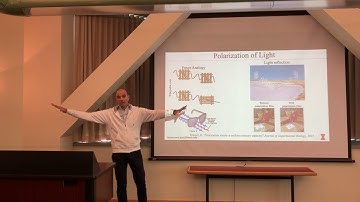 Bio-Inspired Sensors For Underwater Geolocalization: Viktor Gruev
