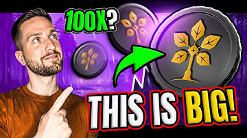 The Red NFT — Bridging Nature and Blockchain