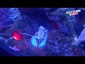 A Journey Beneath the Waves: Our Visit to Ripley’s Aquarium #The6ix #DowntownToronto