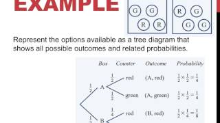 Famous Year 10: Tree Diagrams Wealth