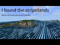 The Minecraft Bedrock stripelands