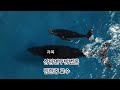 [김한중 교수 대학 강의] 상담연구방법론- 연습문제 (1) [96차시]