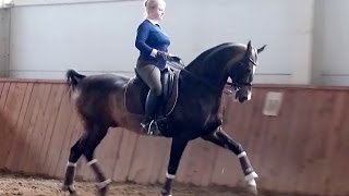 Шумер-Шаэль. Тренировка. Елена Русинова Шумер-Шаэль. Тренировка. Елена Русинова