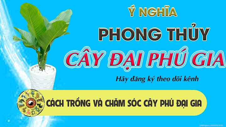 Khi nào cây đại phú gia ra hoa năm 2024