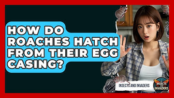 How Do Roaches Hatch From Their Egg Casing? - Insects and Invaders