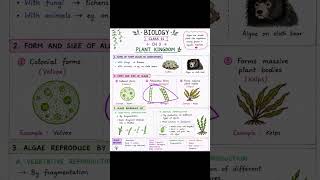 📚 Class 11 Biology | Chapter 3: Plant Kingdom | Algae Notes with Diagrams & Quick Revision 🌿| part 2
