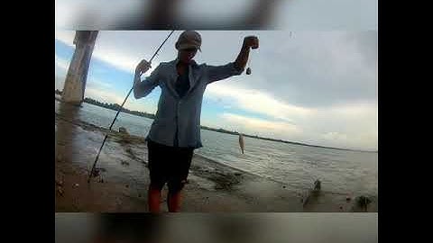 Câu ở ụ cầu Mỹ Lợi trước khi về được cá ngát.