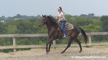 Theedgeofparadice - lopes, stops, turns - ValleyViewRanch.net
