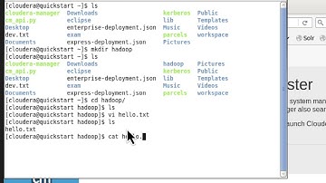 Run basic hadoop commands on Cloudera quickstart vm