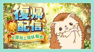 復帰配信｜雑談しながら説明するゾ【雑談】