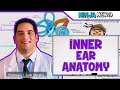Special Senses | Inner Ear Anatomy