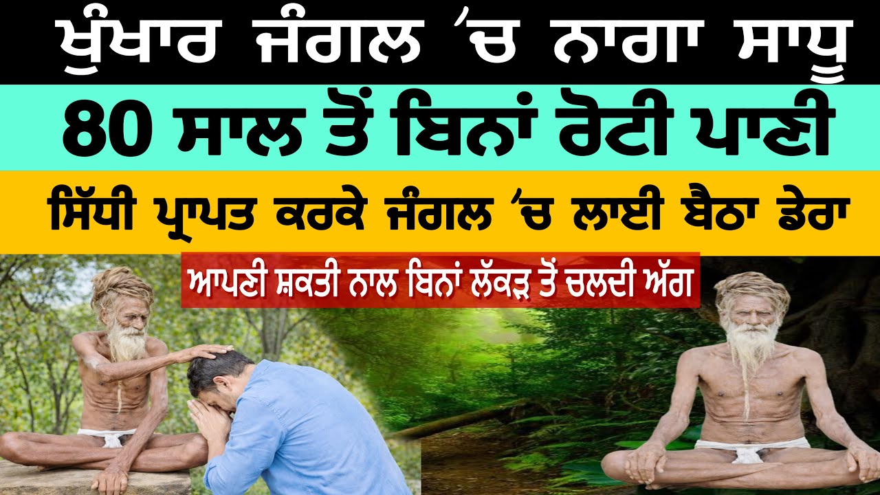 ਖੁੰਖਾਰ ਜੰਗਲ 'ਚ ਨਾਗਾ ਸਾਧੂ 80 ਸਾਲ ਤੋਂ ਬਿਨਾਂ ਰੋਟੀ ਪਾਣੀ ਚਿੱਤਰਕੂਟ ਦੇ ਜੰਗਲ ਚ ਪ੍ਰਾਪਤ ਕੀਤੀ ਅਲੌਕਿਕ ਸ਼ਕਤੀ