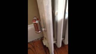 IMG 1412