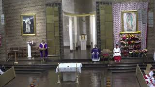 cuarto dia de la novena de la virgen de Guadalupe  Padre Rodrigo 12- 06 2025