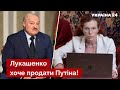 💥 ЛАТИНІНА: у кремлі паніка через поведінку Лукашенка / влада рф, росія, новини - Україна 24