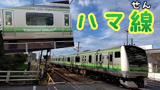 【通称ハマ線】JR横浜線Japanese train”Yokohama Line”